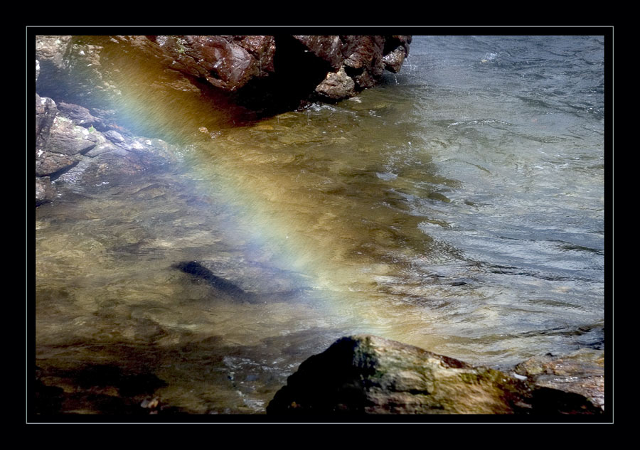 Im Park der Regenbögen ...