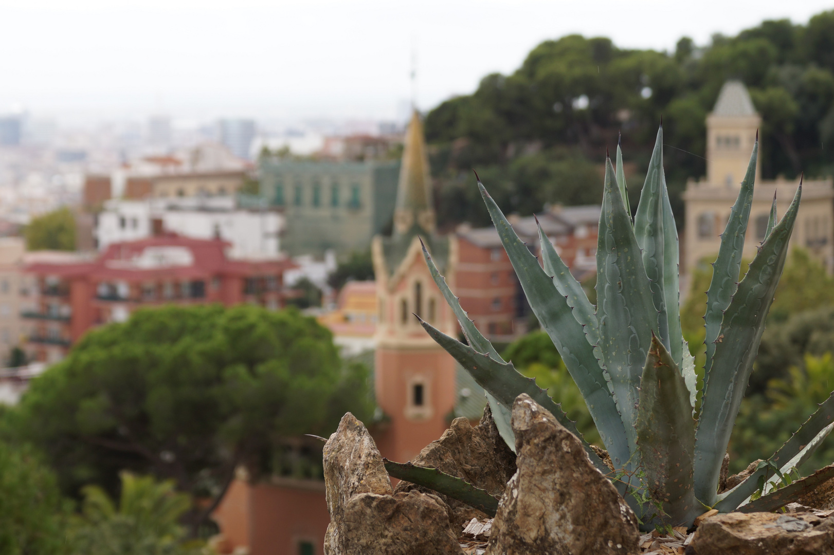 Im Park Güell