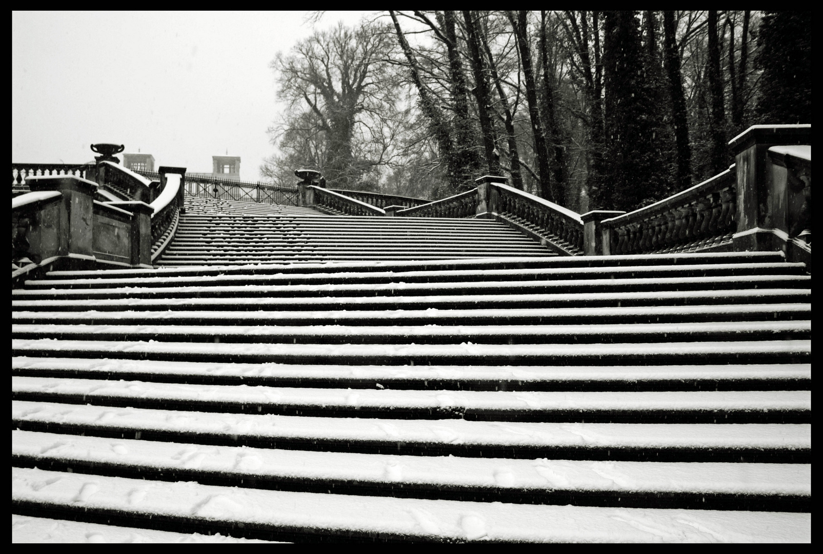 im Park Sannssouci, Dezember 09, Winter