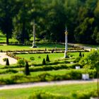 Im Park Sanssouci II