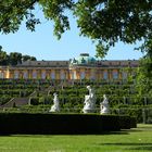 im Park Sanssouci - Potsdam