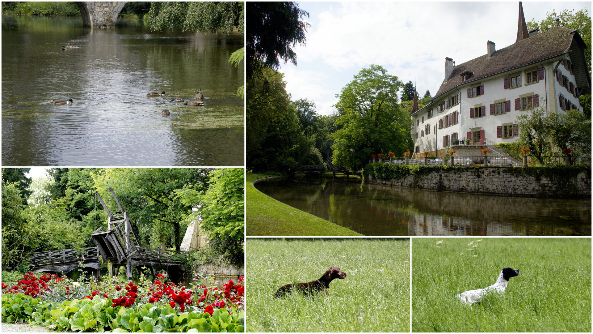 Im Park Schloss Landshut