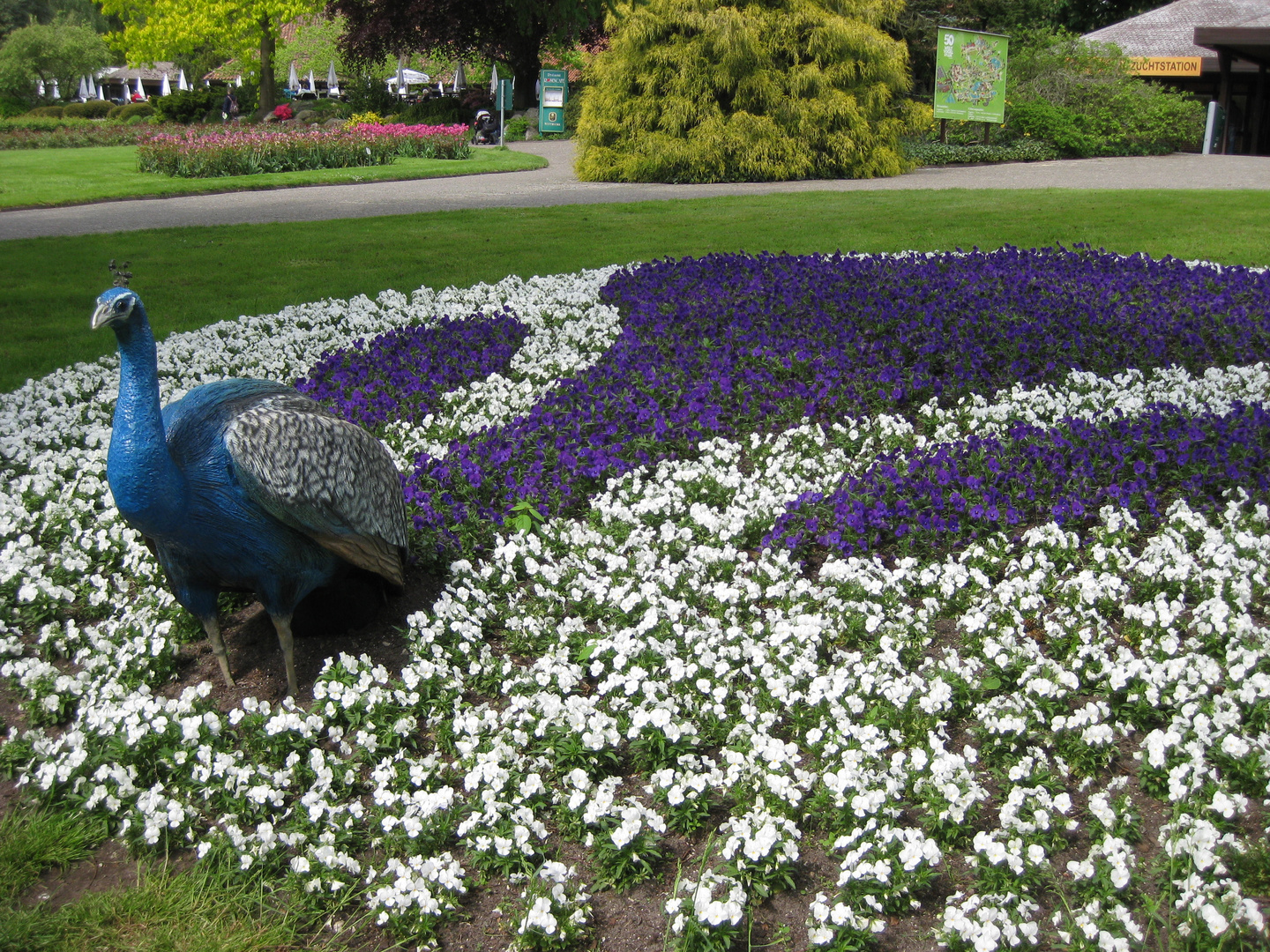 IM PARK V: WALSRODE