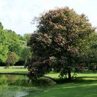 Im Park von Burg Hülshoff