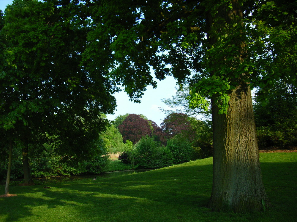 Im Park von Burg Westerwinkel, Münsterland