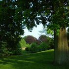 Im Park von Burg Westerwinkel, Münsterland