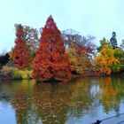 Im Park von Haus Hall