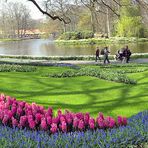 Im Park von Keukenhof