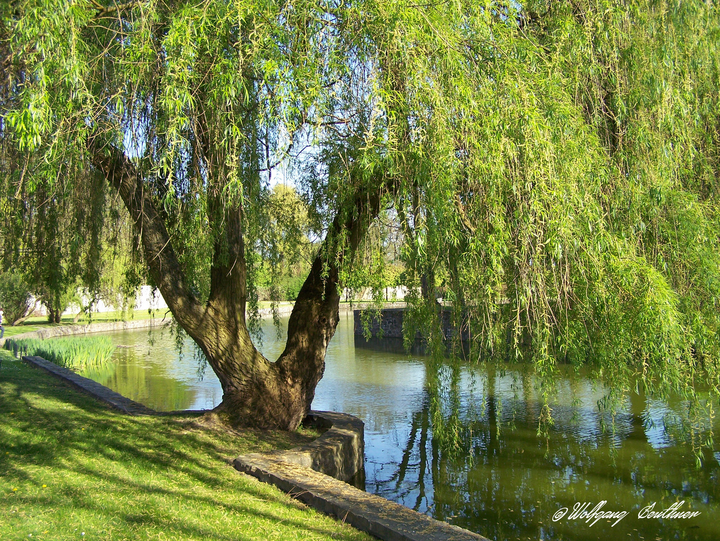 Im Park von Lampertswalde (Dahlener Heide)