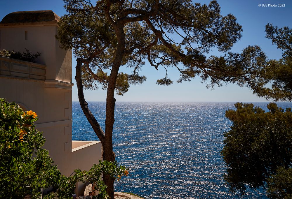 Im Park von Monaco mit Sicht auf das Meer