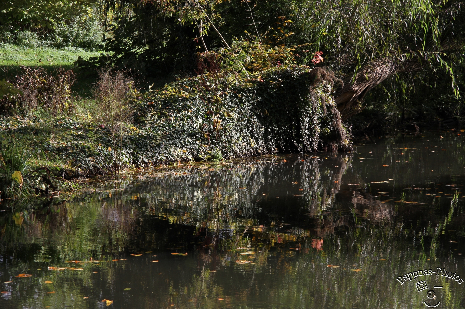 im Park von Sanssouci /08