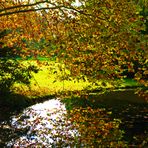 im Park von Sanssouci