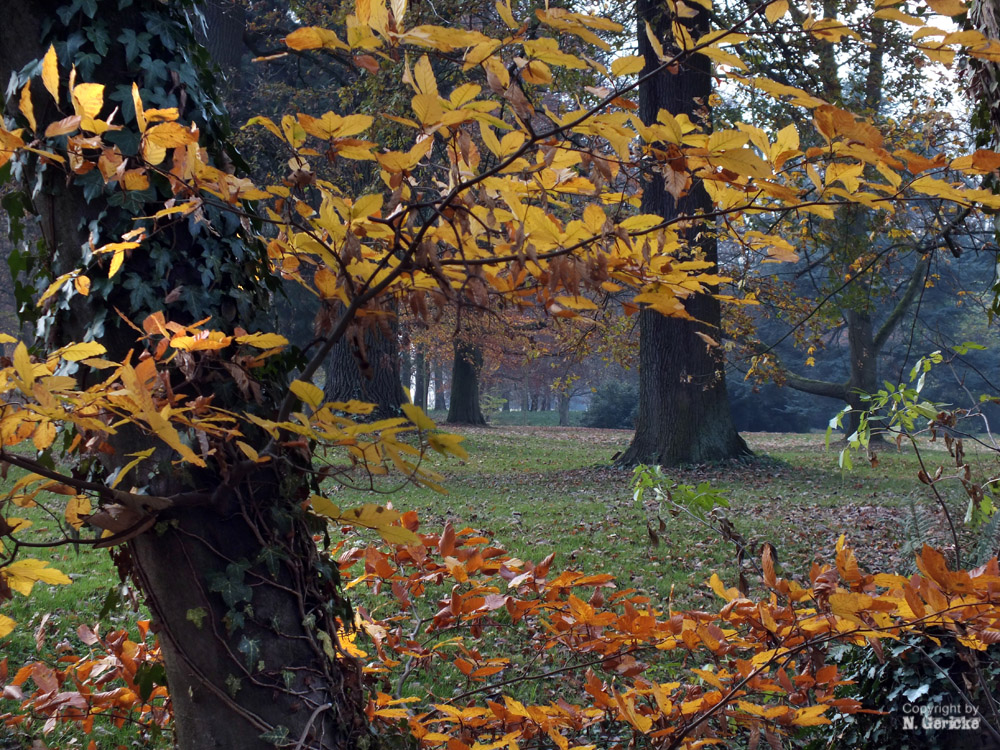 Im Park von Schloss Dyck I