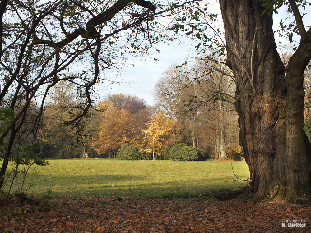 Im Park von Schloss Dyck II