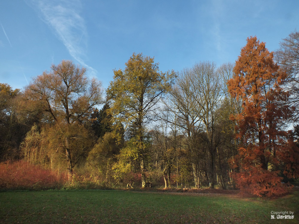 Im Park von Schloss Dyck III