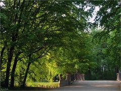 Im Park von Schloss Nymphenburg [01]