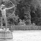 im Park von Schloss Sanssouci