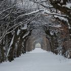 Im Park von Schloß Seehof