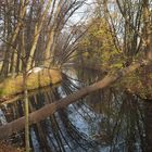 Im Park von Schloss Wickrath