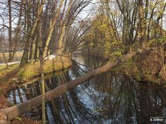 Im Park von Schloss Wickrath