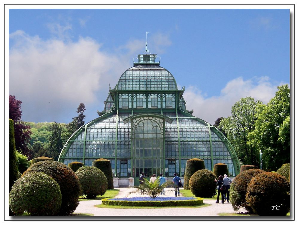 IM PARK VON SCHÖNBRUNN