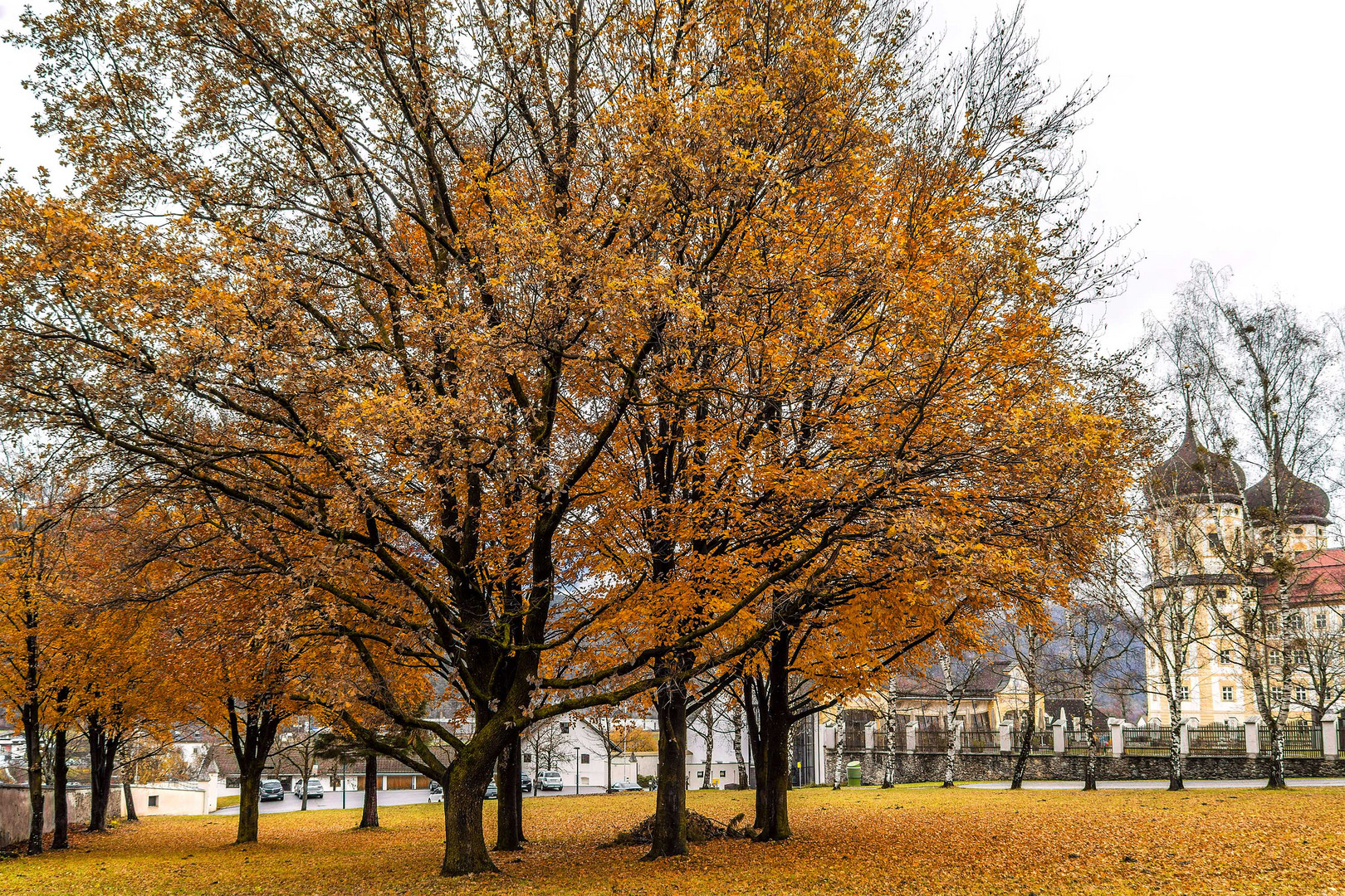 im Park von Stift Stams 