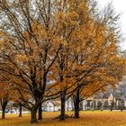 im Park von Stift Stams 