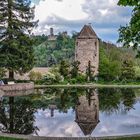 Im Park von Weinheim