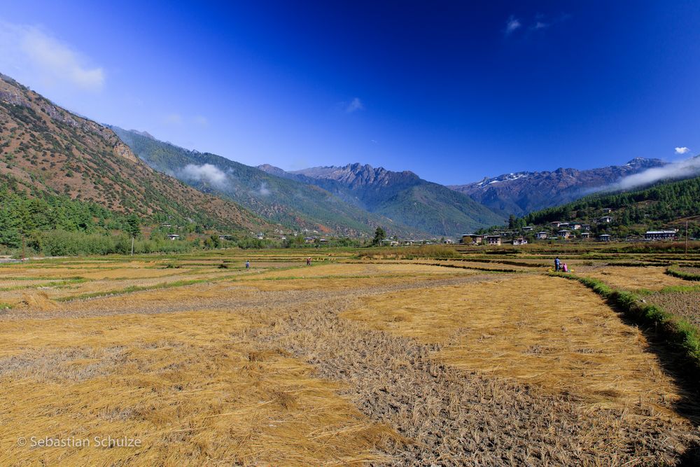 im Paro-Tal - Bhutan 2015