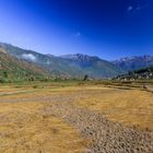 im Paro-Tal - Bhutan 2015