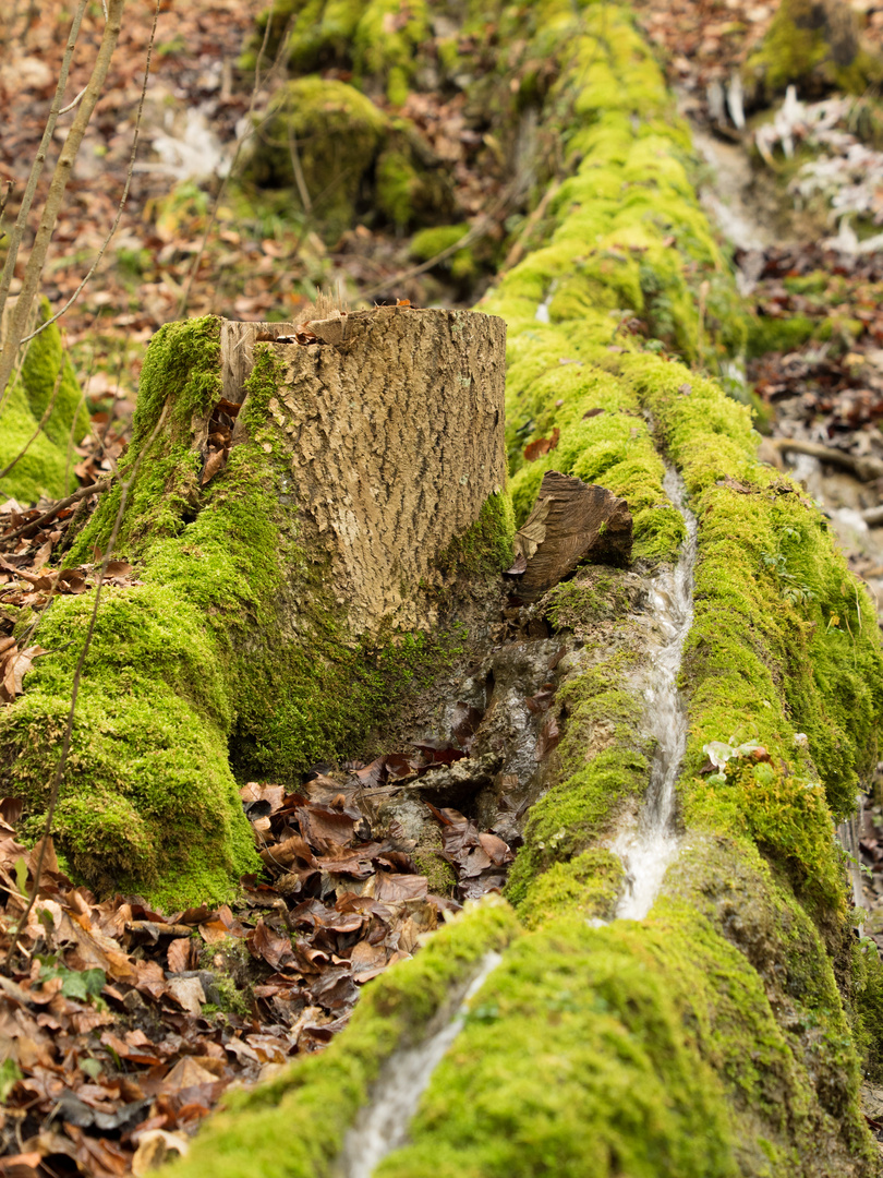 Im Pegnitztal, steinerne Rinne