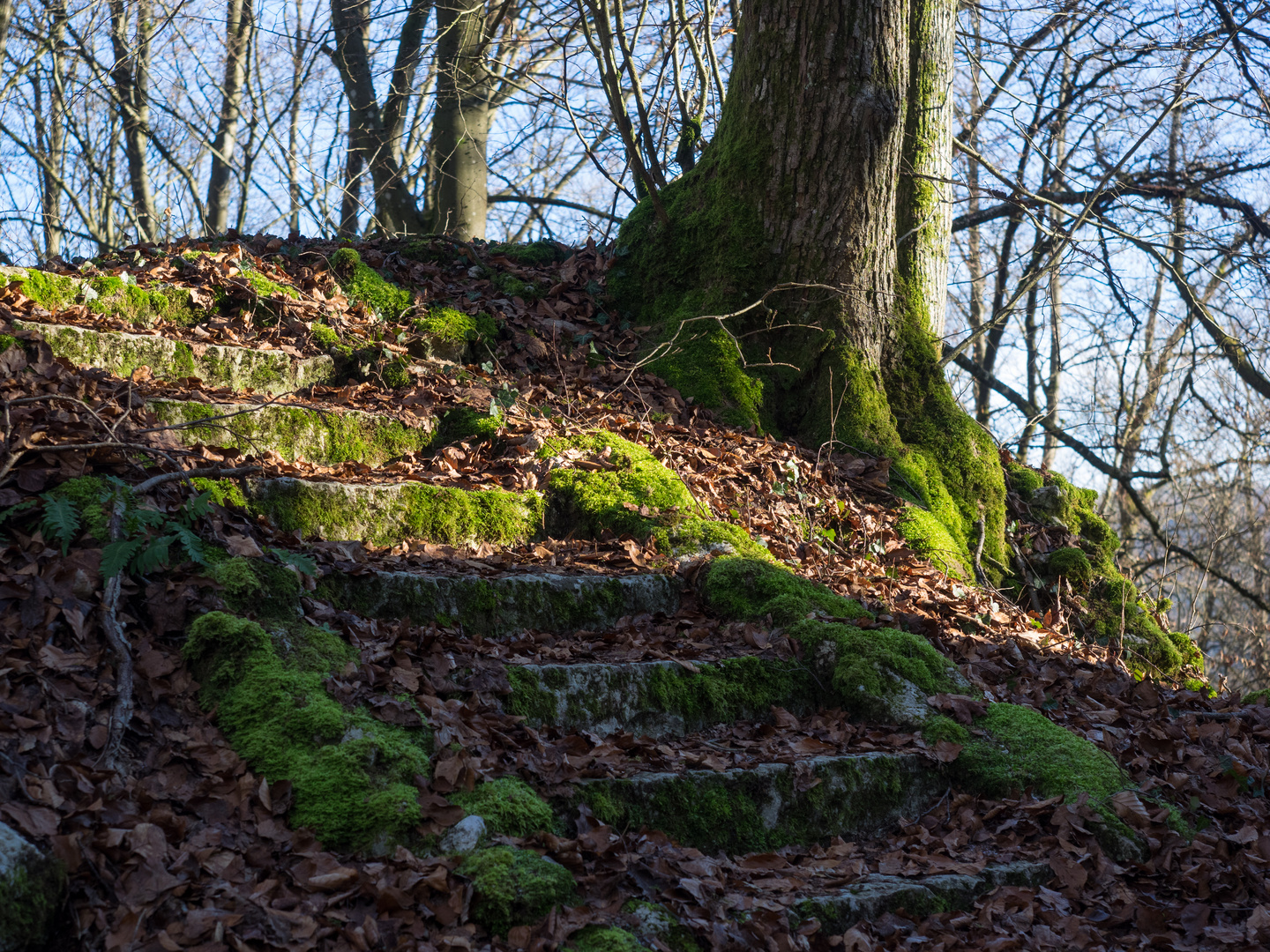 Im Pegnitztal, Steintreppe