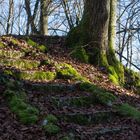 Im Pegnitztal, Steintreppe