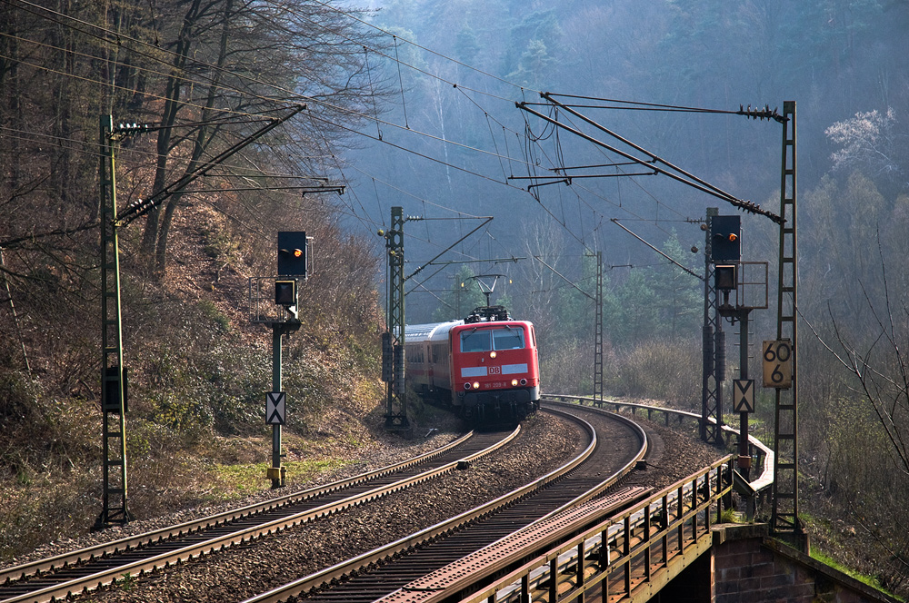 Im Pfälzerwald - I -