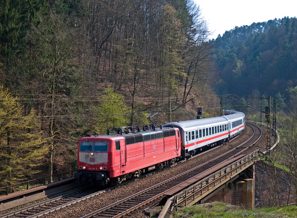 Im Pfälzerwald - II -