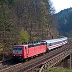 Im Pfälzerwald - II -