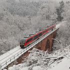 Im pfälzischen Winterwald