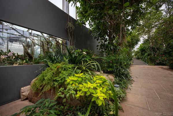 Im Pflanzenschauhaus