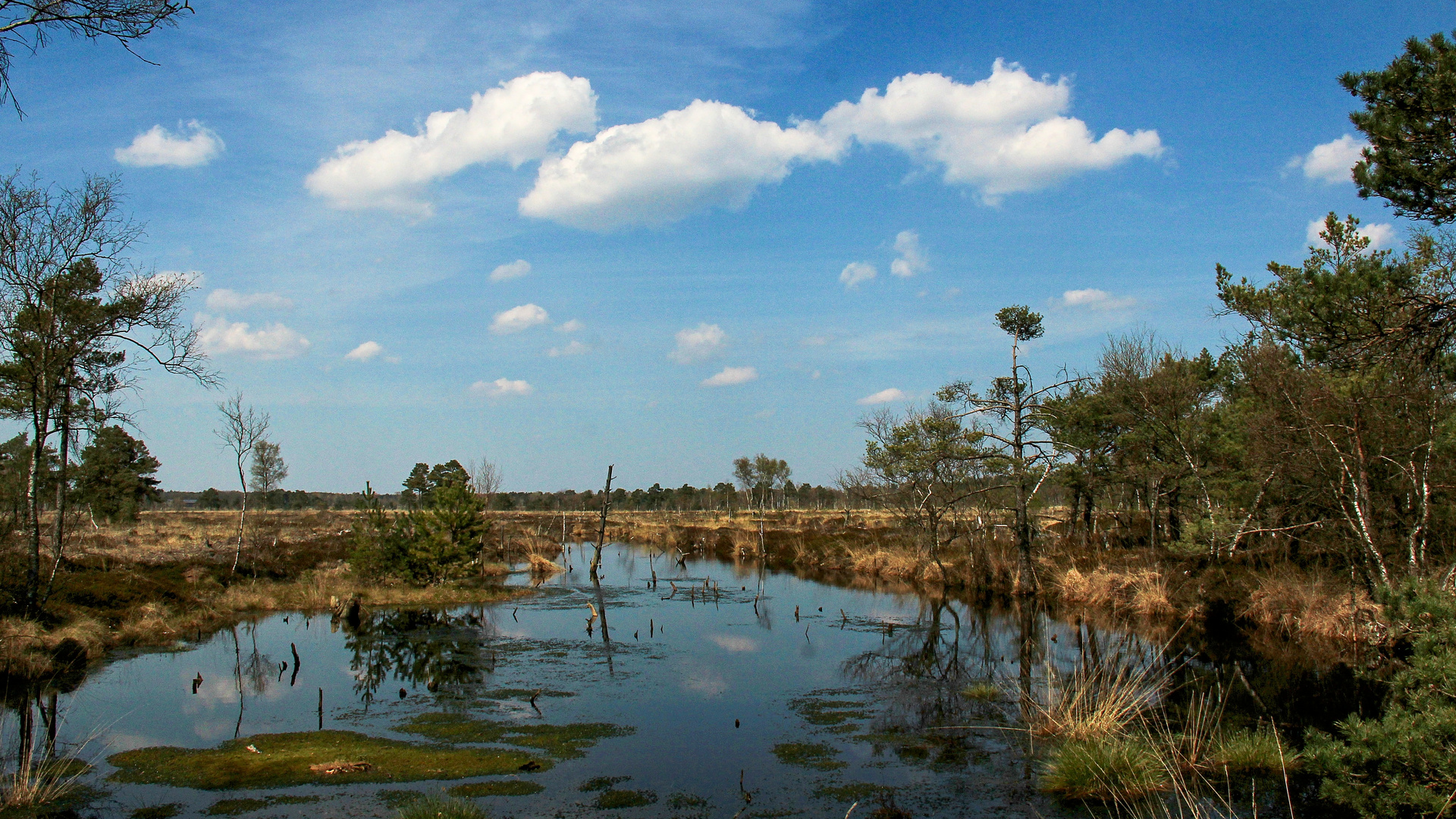 im Pietzmoor