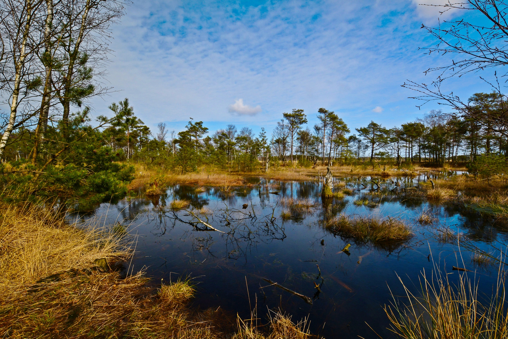 Im Pietzmoor