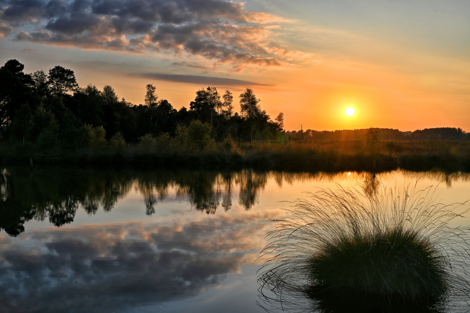 im Pietzmoor