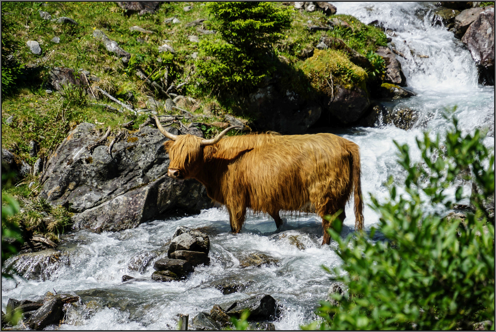 Im Pitztal (3)