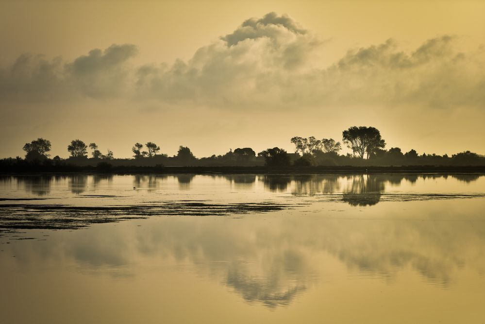 Im Podelta - Wasserspiegel