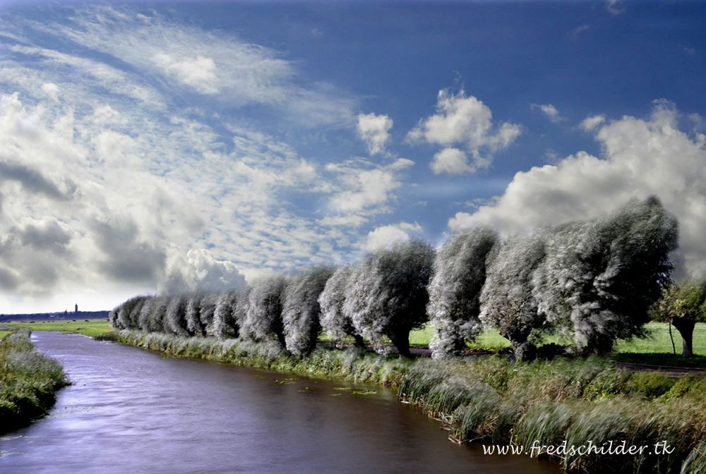 im Polder