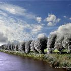 im Polder