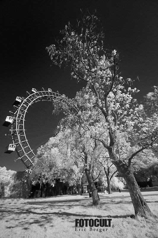 im prater blühen wieder die baeume