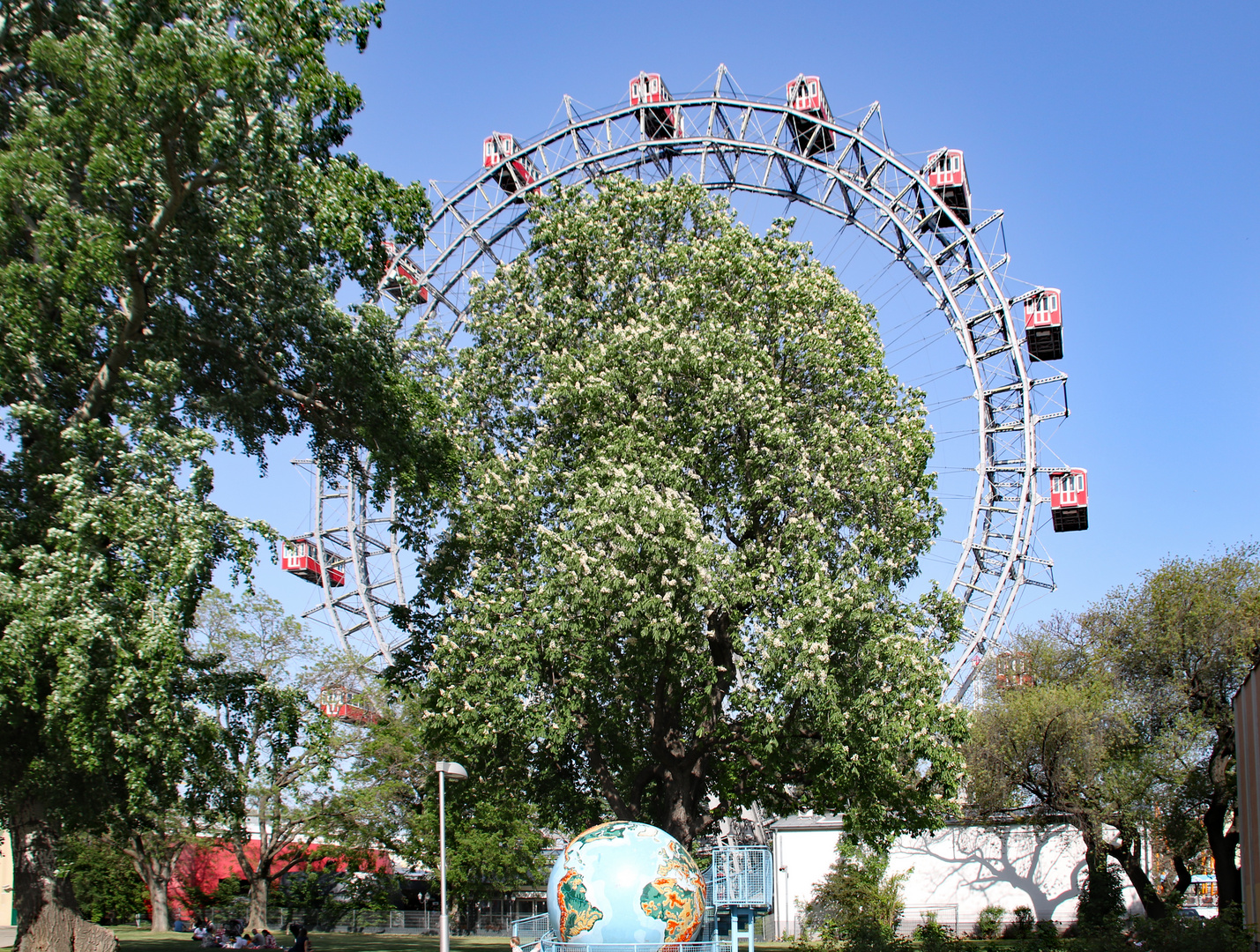 Im Prater blühn wieder die Bäume