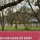 Im Prater blühn wieder die Bäume