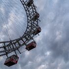 Im Prater blühn wieder die Bäume