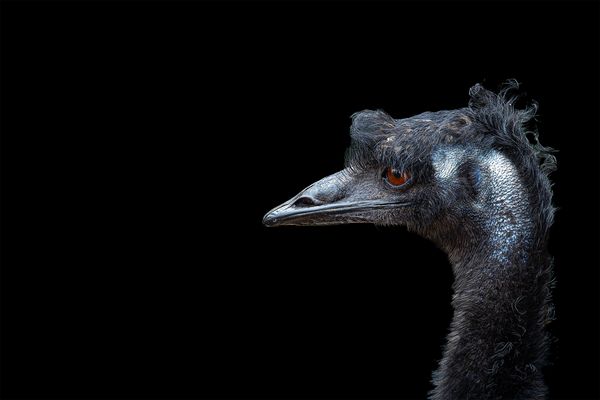 "Im Profil........."